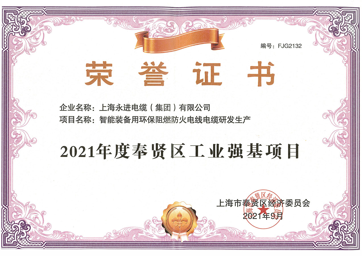 奉賢區工業強基項目證書