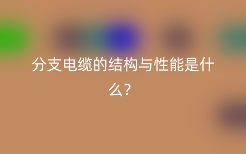 分支電纜的結構與性能是什么？(圖1)
